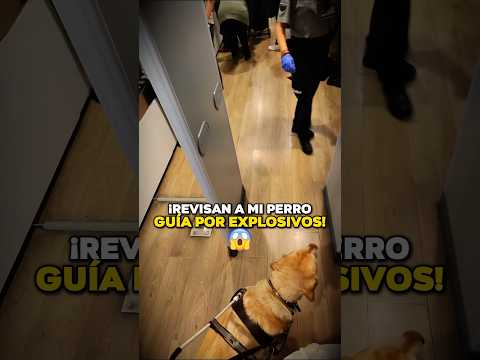 ¡Revisan a mi Perro Guía por Explosivos! 😰🦮