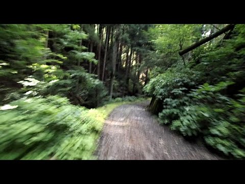 愛宕山(ウジウジ峠→雲心寺林道終点)@220724_1510