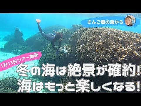 【石垣島】冬の海は絶景が確約！海はもっと楽しくなる！1月13日　シュノーケリングツアーの動画