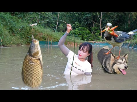 Harvesting fish. Caught a large catch of fish in the pond to sell. Peaceful life