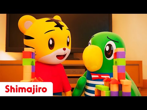 Think of others feelings! 😢😟😄 | Learn good behaviors with Shimajiro | Kids Songs & Nursery Rhymes