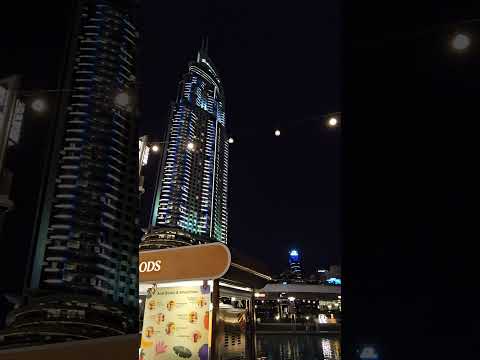 [我的旅行日記♡7〕Dubai mall night 在杜拜mall的夜晚🎡😍