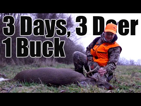 3 Deer on the Final 3 Days of Pennsylvania's Firearms Season! Self-Filmed!