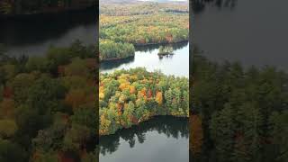 Beautiful view with drone #nature #treeintheriver #dronevideo #viral #youtubeshorts