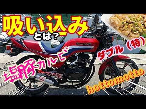 吸い込み音ってなんだ！？GPz250　ホットモットＷネギ塩豚弁当