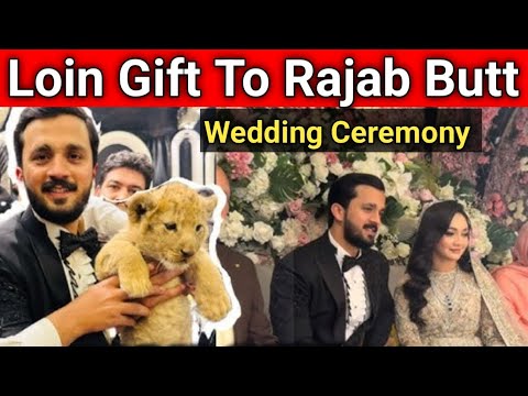 Lion Gift to Rajab butt wedding  | Rajab butt wedding vlog | Rajab Butt walima dress