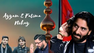 Ayyam e Fatimiya | Heart Touching Noha's| Lashkar E Imam