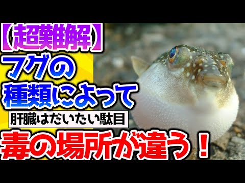 【2ch動物スレ】【危険】フグの毒、種類によって違うからめちゃくちゃ難解だった。。【なんj】 #生き物 #2ch