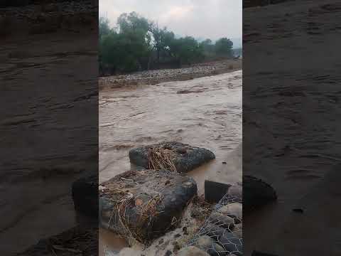 floods in haridwar #मुख्य_समाचार #shortsfeed #viralnews #video #haridwarnews #aajtak #latestharidwar