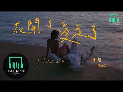 潘旭 - 花開了 愛走了「我的世界曾經有過你」【動態歌詞Lyrics】