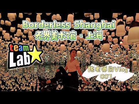 【陈老师的VLOG】007.EPSON teamLab上海无界美术馆｜Borderless Shanghai|灯之森林｜光影盛宴｜上海网红美术馆