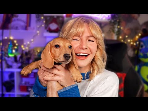 NEW Puppy & My Future On YouTube