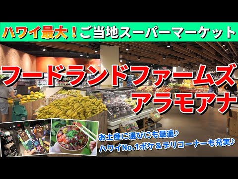 ハワイの大人気スーパーを徹底ガイド！フードランドファームズ アラモアナ店【ハワイ最新情報】【ハワイの今】【ハワイ旅行2024】【HAWAII】