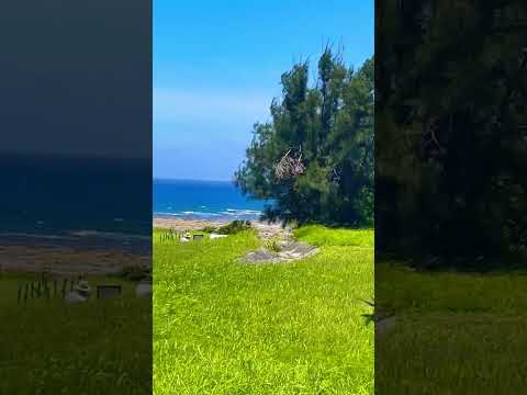 Amazing View 🤩 #nature #beach #shortvideo #shorts