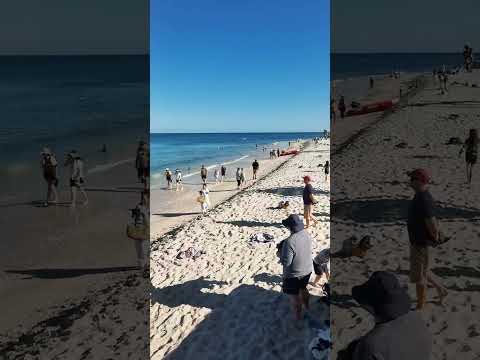 Cottesloe Beach Perth Australia, 2023 Sculpture by the Sea