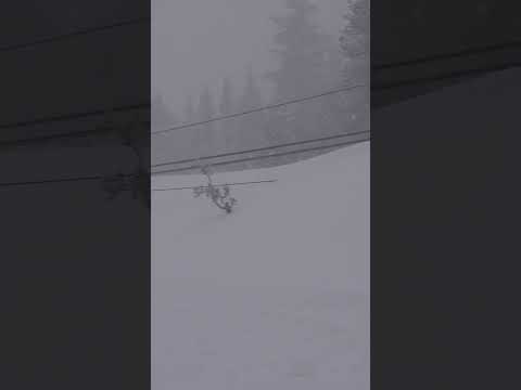 Watch: Massive Snow Blower piles snow up to POWERLINES!