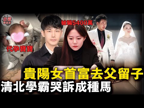 與23億身價白富美閃婚代孕閃離，清北學霸淪為女首富精子庫！網友：拿了6千萬軟飯硬吃你也不虧！【迷霧調查組】中國案件 案件推理 案件分析