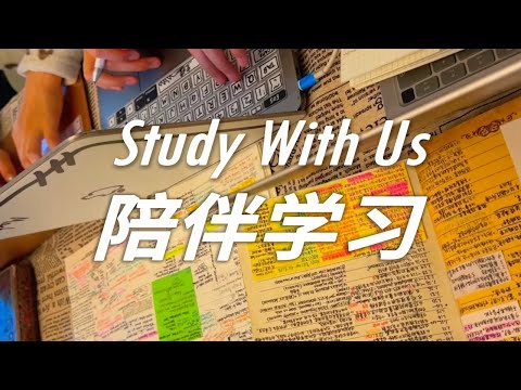 极静实时学习｜抗浮躁安静的刷题｜Study With Twins (雨声)