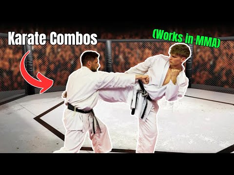 Karate combinations that actually work…