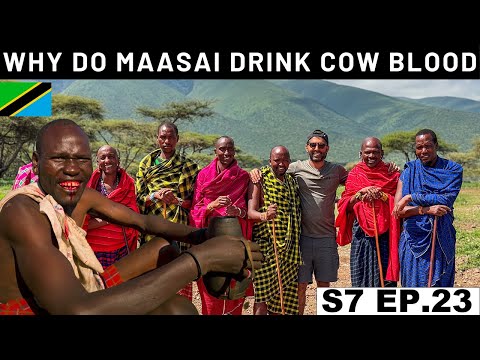 LIFE OF ANCIENT MAASAI TRIBE LIVING WITH THE WILD ANIMALS 🇹🇿 S7 EP.23 | Pakistan to South Africa