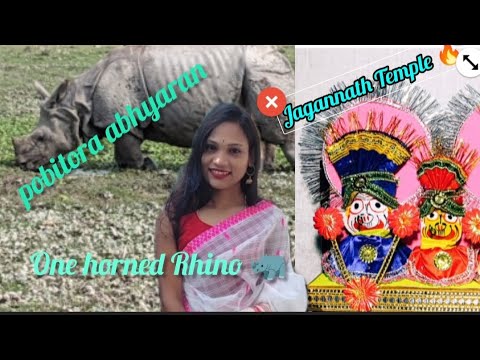 JAGANNATH TEMPLE &  POBITRO ABHYARAN 🔥🔥🔥 We Have Also Seen one Horned Rhino🦏 #ytpost #youtube #post