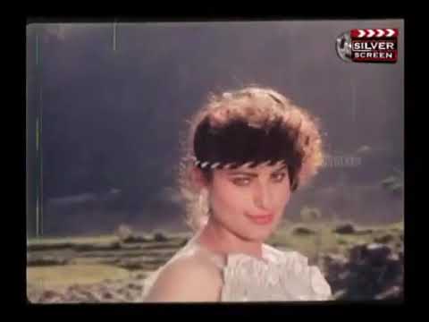 Tu Menu Choo Leya - Pakistani Film Aansu (1991) Humaira Channa