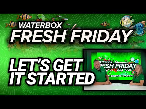 Fresh Friday Is Here. Let's Get It Started!