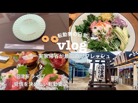 【vlog】久しぶりの実家帰省🏠✈️①｜懐かしい食事に友達、海鮮食べて温泉入って癒される🐻♨️🍵｜沼津観光🐟