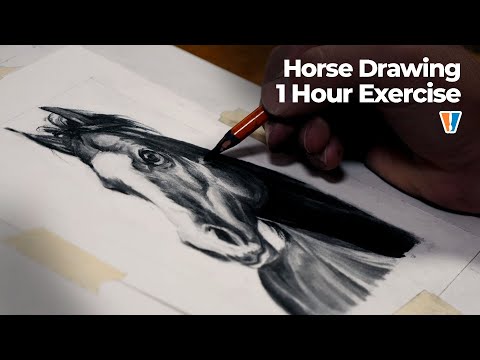 Horse Drawing with Charcoal