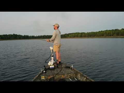 Bass Fishing Top Water 5-3-24