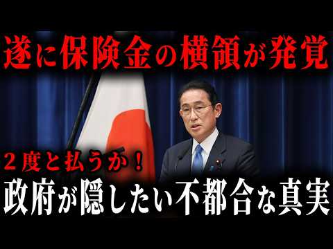 【注意！車両購入者全員が対象です】保険料の横領が発覚しました...横領の裏に潜む政治の闇とは？【ゆっくり解説】