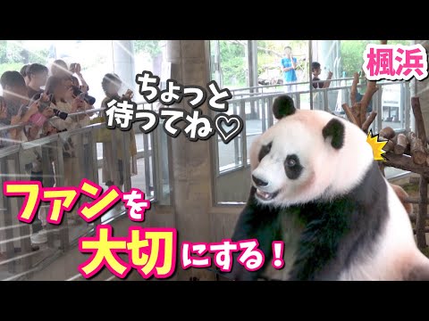 【パンダアイドル楓浜】食事中なのにファンサービスするふうひんはヤバすぎるよ🐼天才