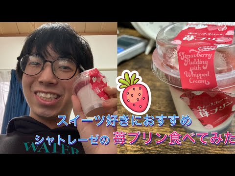 (スイーツ好きにおすすめ)シャトレーゼの新スイーツホイップクリームいちごプリン紹介&食レポしてみた！