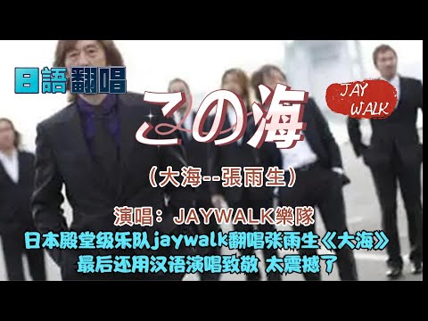 日語翻唱【この海】→中文原曲【大海--張雨生】演唱：JAYWALK樂隊  由知久光康作词，这首歌是樂隊為了紀念張雨生而唱的