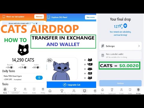 Cats Airdrop Price Prediction ||🚀 Cats Airdrop Listing ||🚀 Cats Airdrop New Update ||🚀