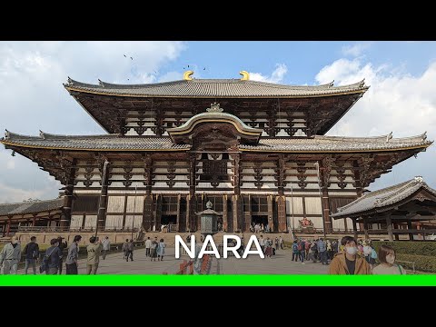 Checking out Nara (Japan 🇯🇵 Vlog) | 奈良