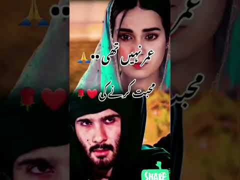 # new#trending #viral #shayri urdu|whatsapp status #shortvideo #poetrystatus