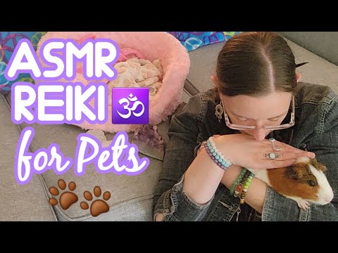 🙌🌈ASMR REIKI Energy Healing for Pets🐹🌈🙌