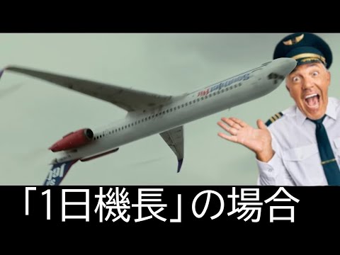 墜落を楽しむ１日機長