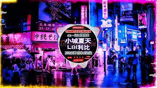 2024夜店舞曲 重低音, 40首精选歌曲 超好听🔥2024最火歌曲DJ慢摇 : 三生三幸-海来阿木 / 張紫豪 - 可不可以 / 周星星 - 毒藥 / ... 2024最火歌曲DJ