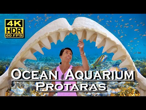 Ocean Aquarium Protaras , Cyprus in 4K 60fps HDR (UHD) Dolby Atmos 💖 The best Places 👀 Walking Tour