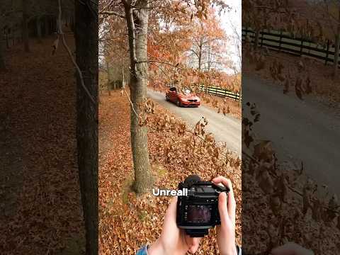 Autumn Photoshoot Of A BMW M4 - POV Car Photography (Sony a6400 + Sigma 30mm f1.4) #car #photography