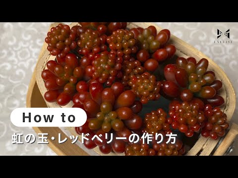 【樹脂粘土・多肉植物】虹の玉・レッドベリーの作り方 | poncotage