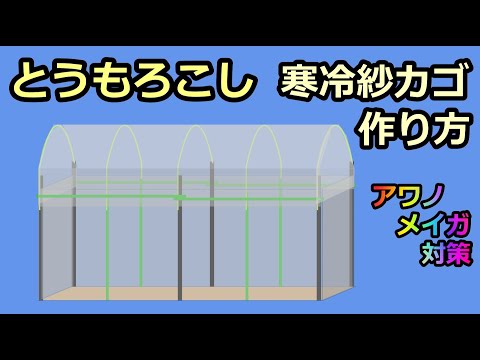 【保存版：アワノメイガ対策】トウモロコシ 寒冷紗ドームの作り方 無農薬 家庭菜園29年目