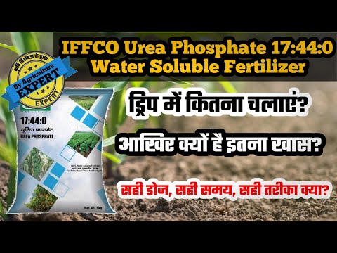 IFFCO Urea Phosphate Water Soluble Fertilizer Ke Use Aise Karein | IFFCO Fertilizer