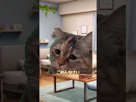 猫ミームを作ってみたwww#shorts