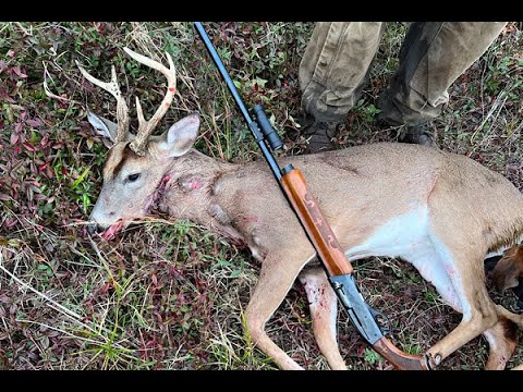 Deer Dog Drive 12-17-2022 6 Point Down On The Fly