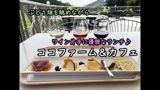 【足利】3年ぶりの収穫祭❣️ぶどう畑を眺めながらワインのテイスティング&ランチ 「ココファーム&カフェ」と収穫祭ダイジェスト～Coco Farm & Winery, Ashikaga