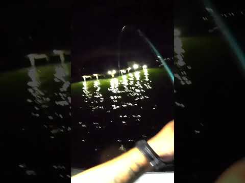 Tossed this Glow in the Dark Jig under this Dock Light and Caught Dinner! #shorts #fishing  #fish