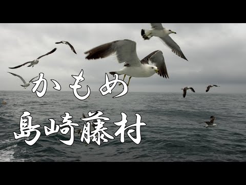 かもめ　島崎藤村　朗読